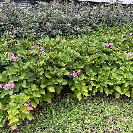 Апартаменты Jardins De La Noue Вильнёв-ла-Гарен Экстерьер фото